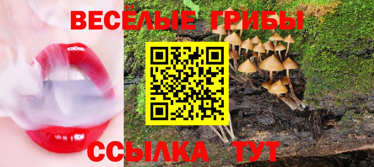 Димитровград  Псилоцибиновые грибы MAGIC MUSHROOMS  Галлюциногенные грибы Psilocybine cubensis  Вход с VPN 